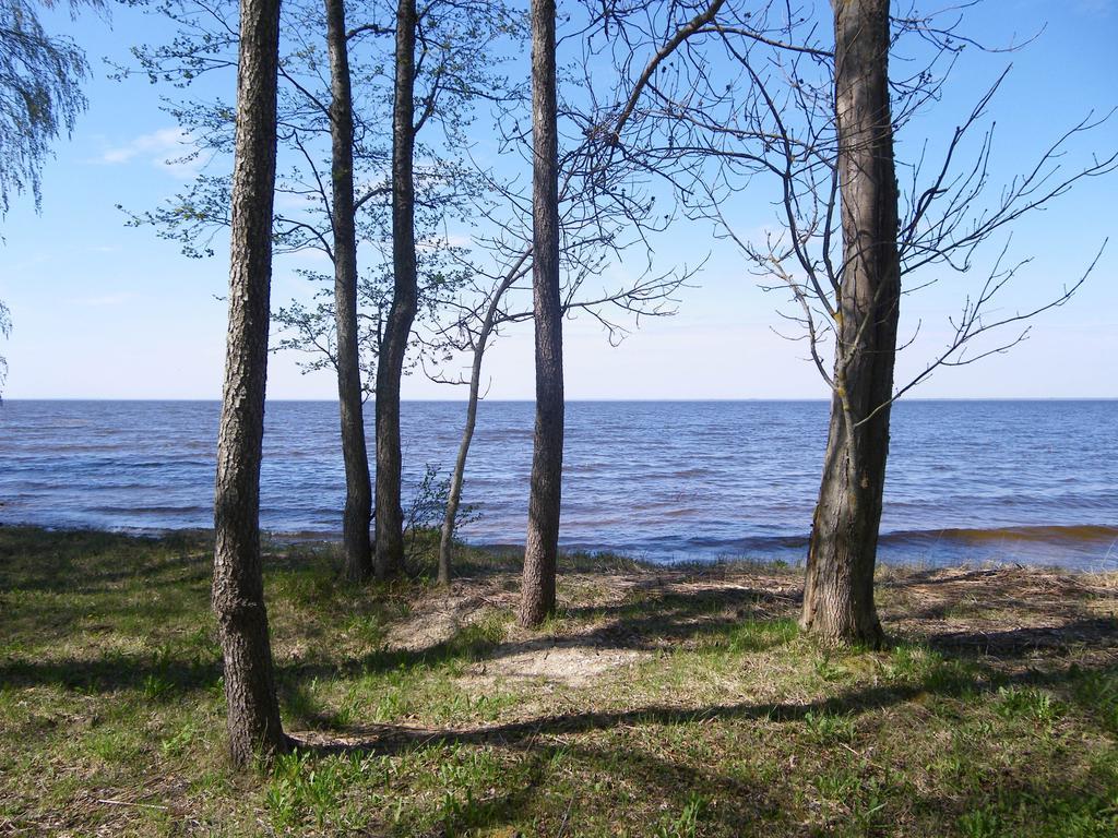 Kiviranna Puhkemajad Suure-Rakke Exterior foto